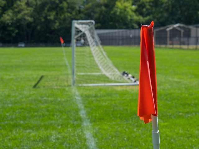 认为乌克兰 认为乌克兰