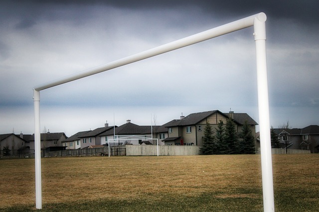 一个瞩目的 一个瞩目的