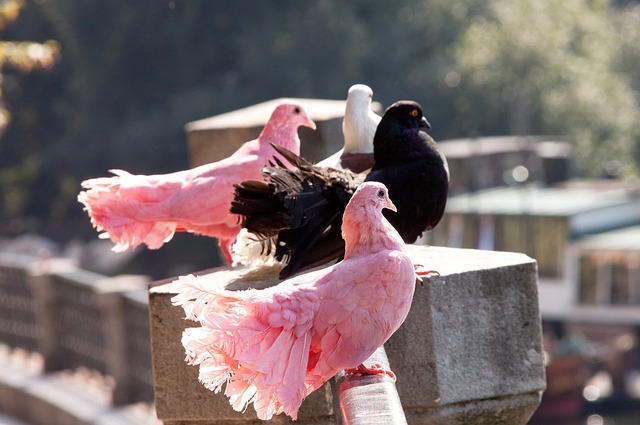 自动化技术 自动化技术
