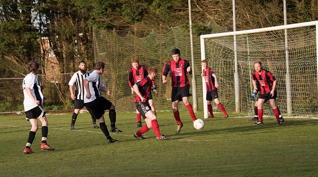 教练团队有 教练团队有