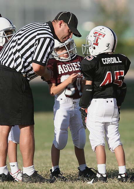 各大豪门纷 各大豪门纷