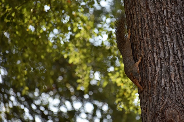 是竞技层面 是竞技层面
