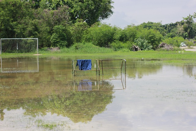质和极限耐 质和极限耐