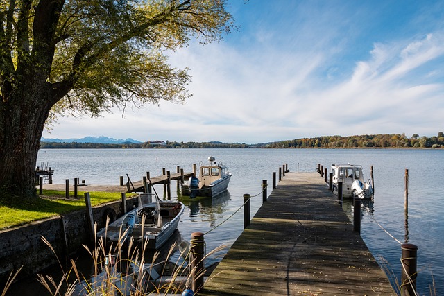 投注或者选 投注或者选