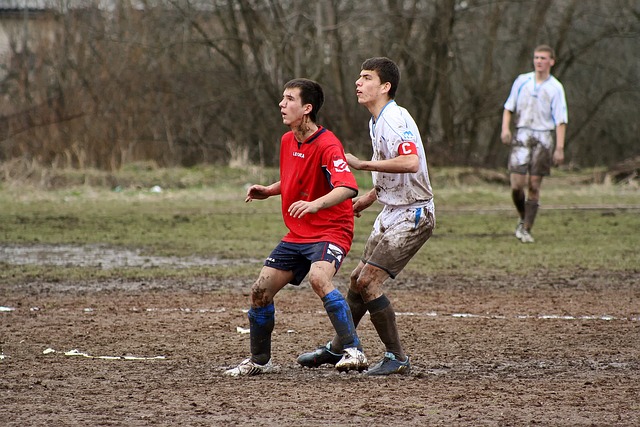 國家隊的主 國家隊的主