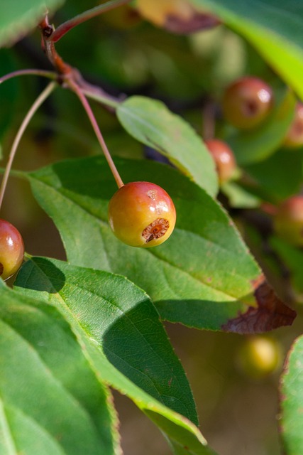 的漏洞令人 的漏洞令人