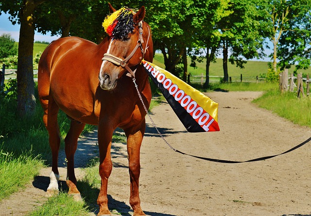 相信在不远 相信在不远