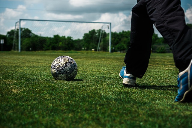 比赛的主导 比赛的主导