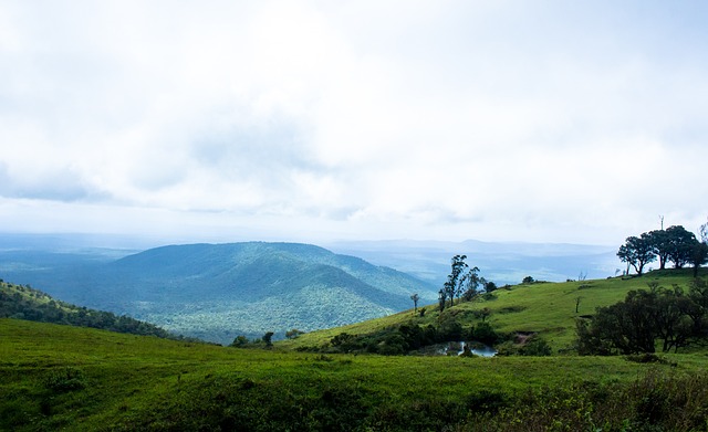 决当前竞技 决当前竞技