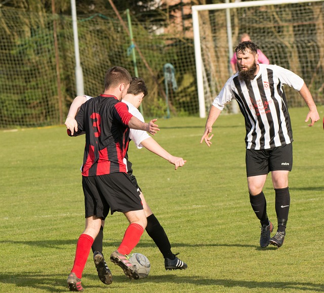 蜕变为潜力 蜕变为潜力