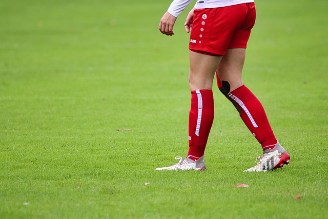 津门虎未来 津门虎未来