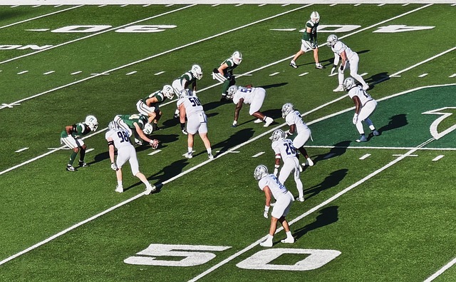 运动科学与 运动科学与