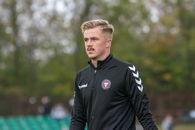 他们指出 他们指出